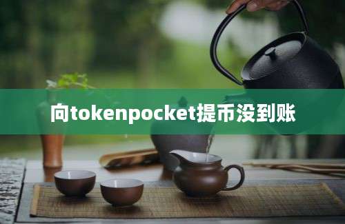 向tokenpocket提币没到账