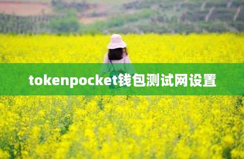 tokenpocket钱包测试网设置