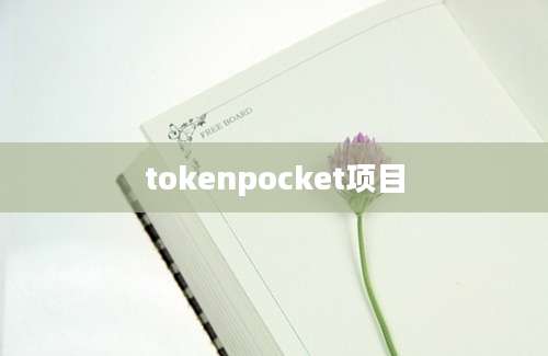 tokenpocket项目