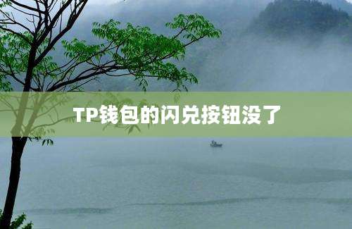 TP钱包的闪兑按钮没了