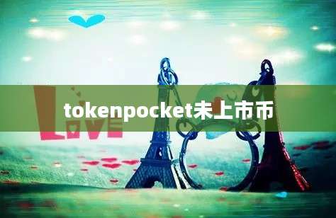 tokenpocket未上市币