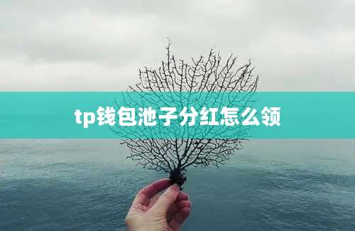 tp钱包池子分红怎么领