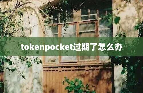 tokenpocket过期了怎么办