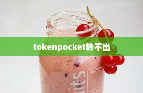 tokenpocket转不出