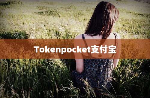 Tokenpocket支付宝