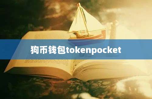 狗币钱包tokenpocket