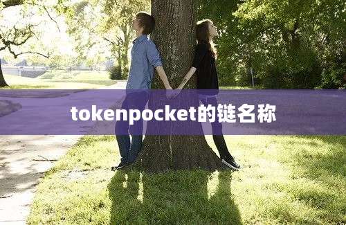 tokenpocket的链名称