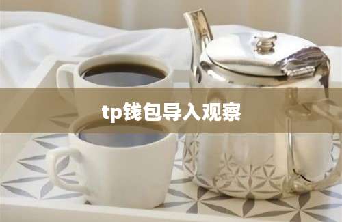 tp钱包导入观察