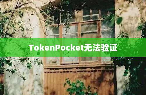 TokenPocket无法验证