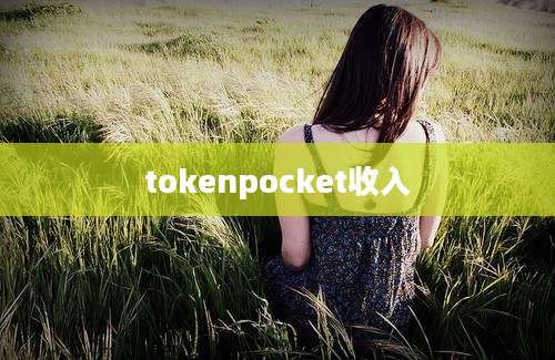 tokenpocket收入