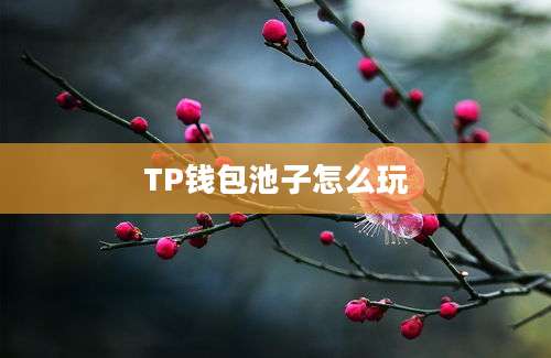 TP钱包池子怎么玩