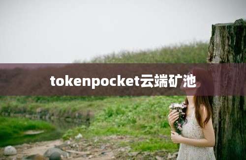 tokenpocket云端矿池