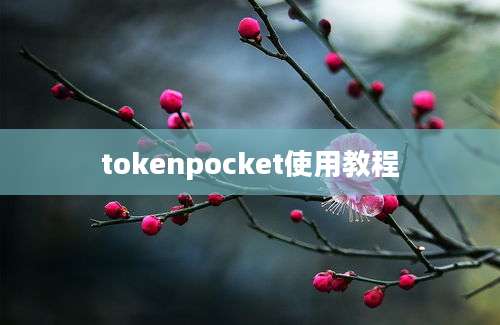 tokenpocket使用教程