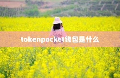 tokenpocket钱包是什么