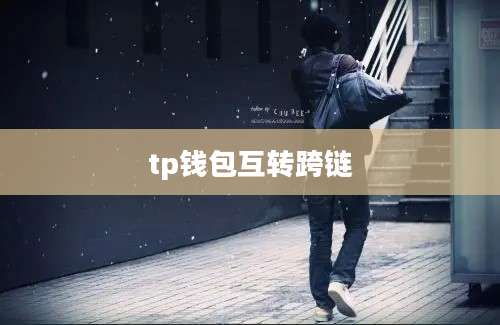 tp钱包互转跨链