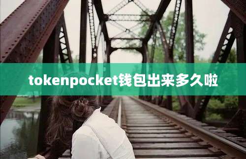 tokenpocket钱包出来多久啦