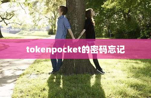 tokenpocket的密码忘记