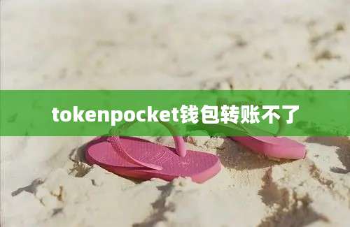 tokenpocket钱包转账不了