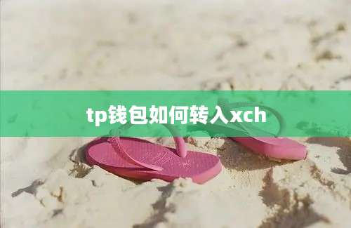 tp钱包如何转入xch