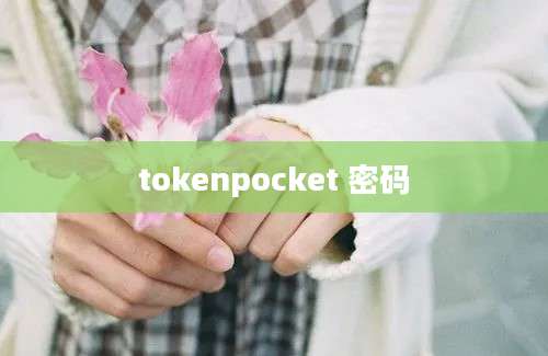 tokenpocket 密码