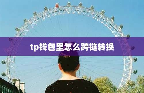 tp钱包里怎么跨链转换