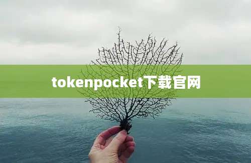 tokenpocket下载官网