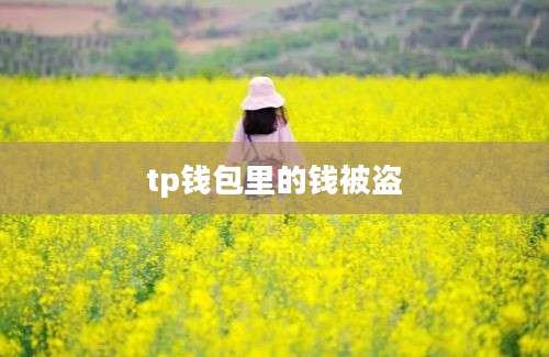 tp钱包里的钱被盗