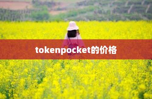 tokenpocket的价格