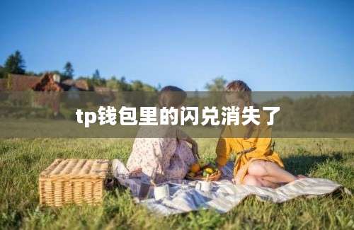 tp钱包里的闪兑消失了