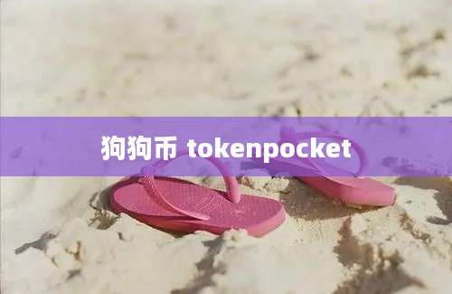 狗狗币 tokenpocket