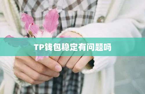 TP钱包稳定有问题吗