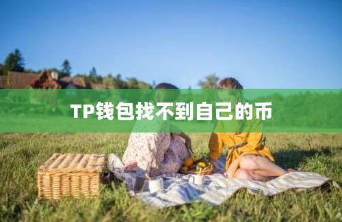 TP钱包找不到自己的币