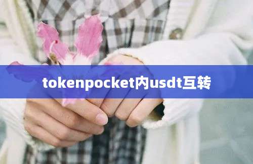 tokenpocket内usdt互转