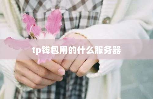 tp钱包用的什么服务器