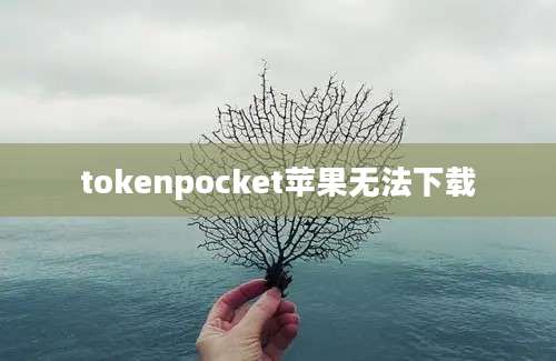 tokenpocket苹果无法下载