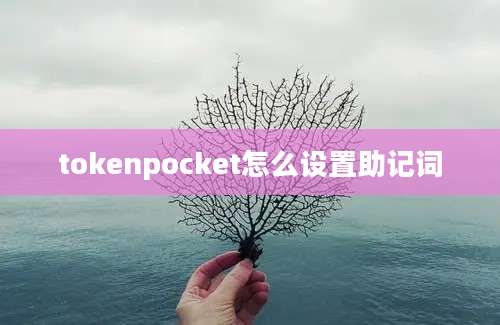 tokenpocket怎么设置助记词