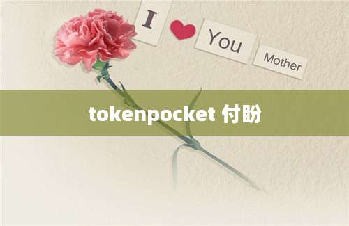 tokenpocket 付盼