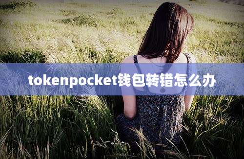 tokenpocket钱包转错怎么办