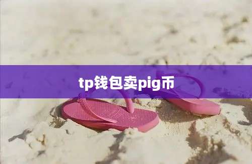 tp钱包卖pig币