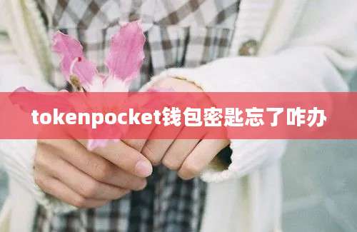 tokenpocket钱包密匙忘了咋办