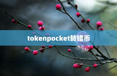 tokenpocket转错币