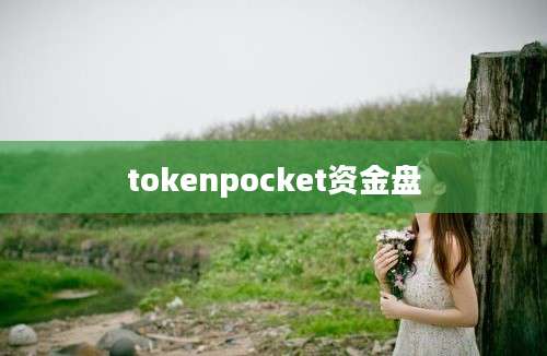 tokenpocket资金盘