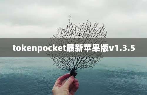 tokenpocket最新苹果版v1.3.5