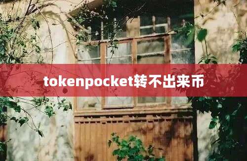 tokenpocket转不出来币