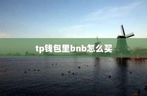 tp钱包里bnb怎么买