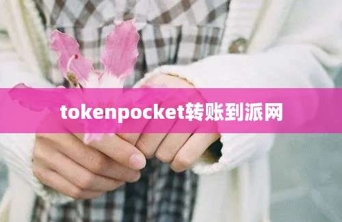 tokenpocket转账到派网