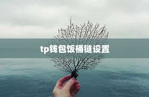 tp钱包饭桶链设置