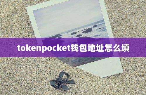 tokenpocket钱包地址怎么填