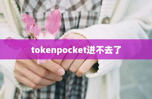 tokenpocket进不去了