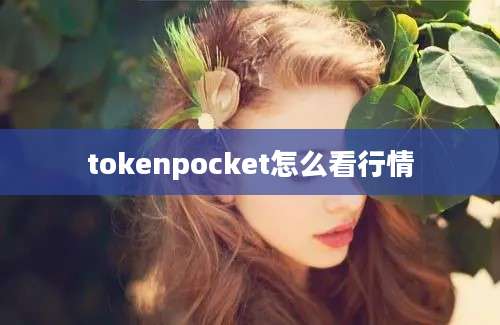 tokenpocket怎么看行情